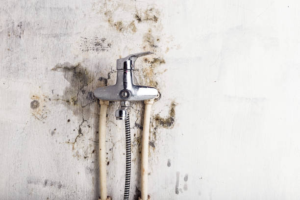  Oberlin, LA Mold Removal Pros