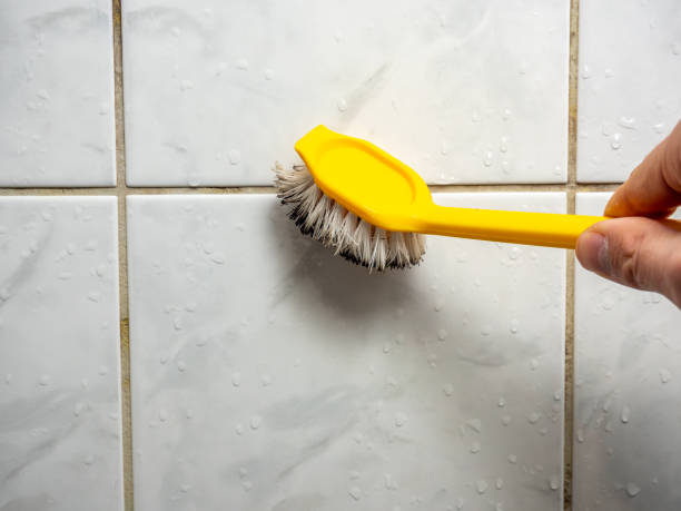 Best Professional Mold Removal  in Oberlin, LA