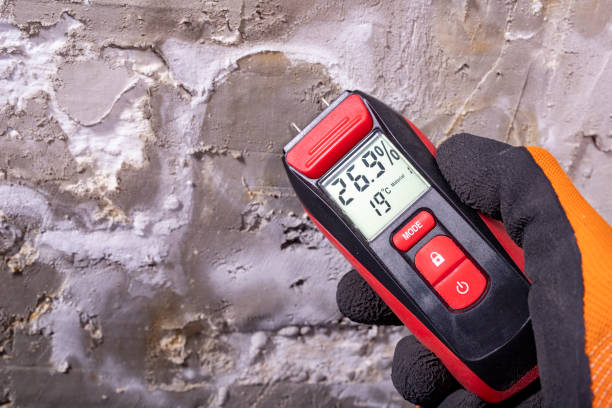 Best Office Mold Removal Services  in Oberlin, LA