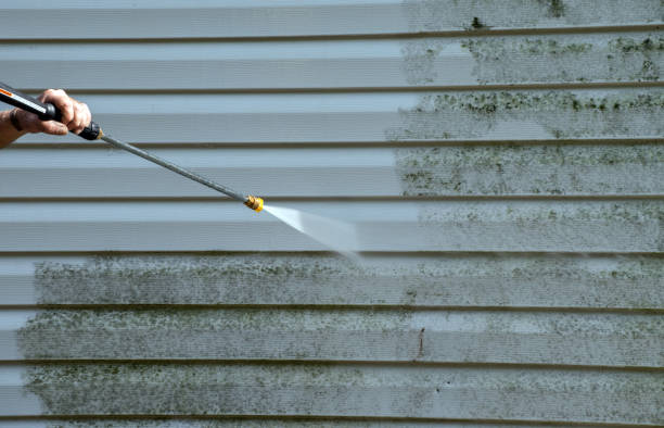 Best Local Mold Removal Service  in Oberlin, LA