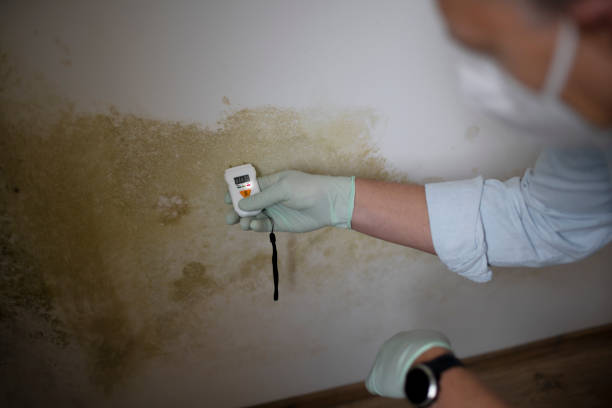 Best Mold Cleaning Services  in Oberlin, LA