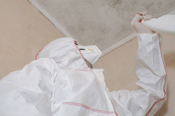 Best Commercial Mold Removal  in Oberlin, LA