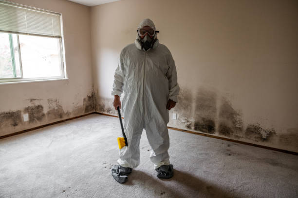 Best Emergency Mold Removal  in Oberlin, LA