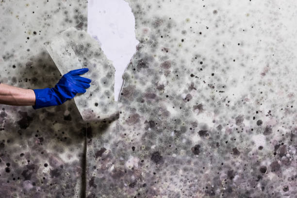 Water Damage Restoration in Oberlin, LA